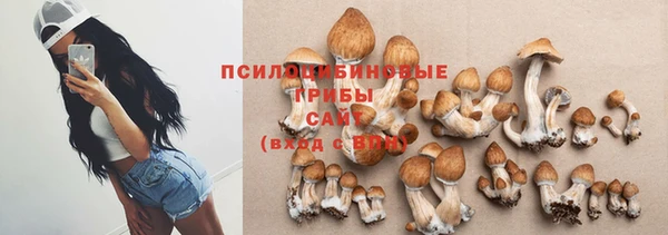спайс Белокуриха