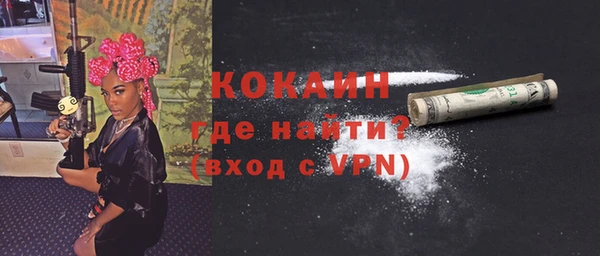 мдпв Богородск