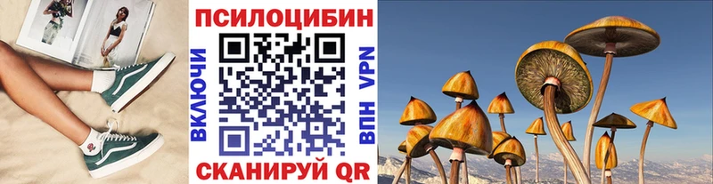 Галлюциногенные грибы мицелий  купить   Иркутск 